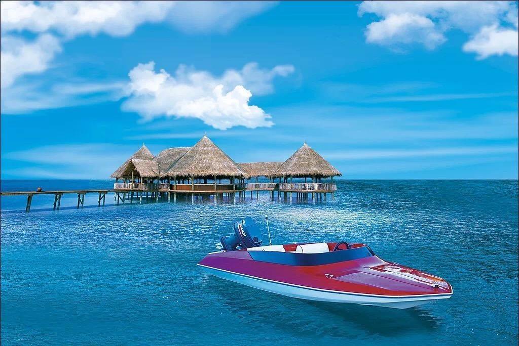 爱旅行的芭比